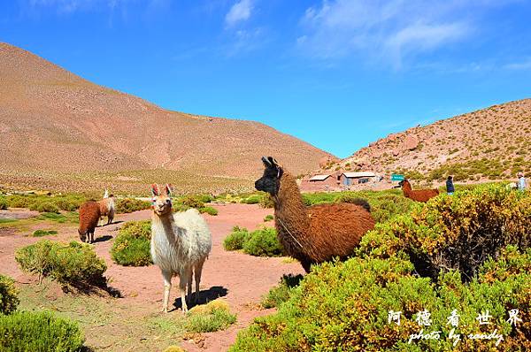 atacama2D7 188.JPG