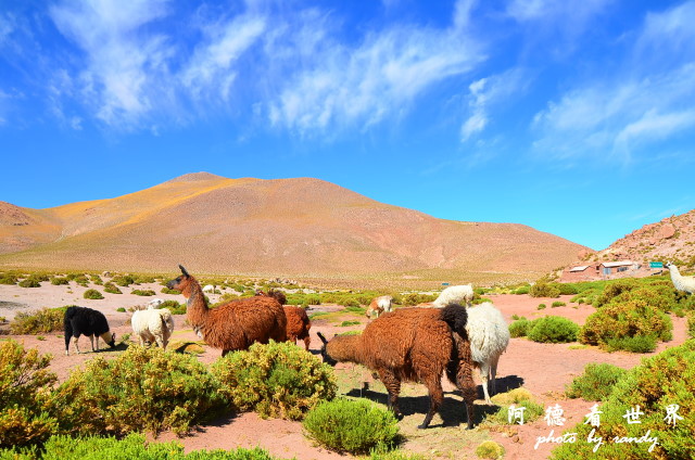 atacama2D7 191.JPG atacama2D7 191.JPG