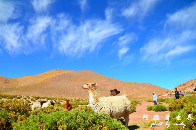 atacama2D7 199.JPG