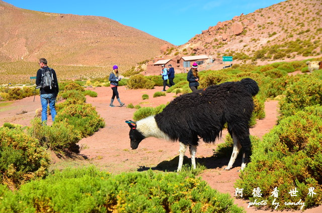 atacama2D7 220.JPG