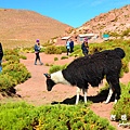 atacama2D7 220.JPG