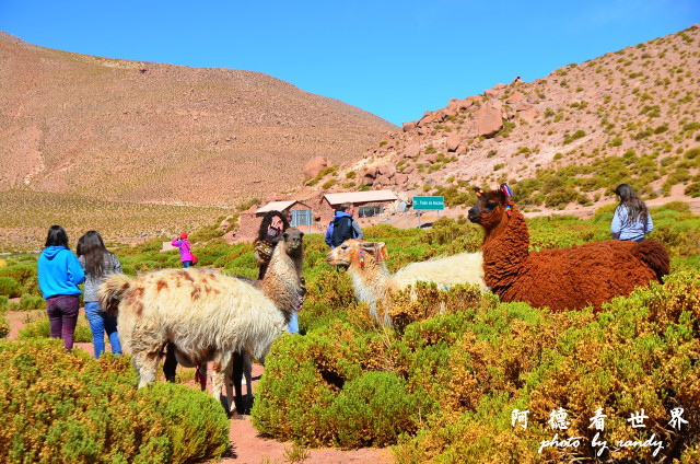 atacama2D7 238.JPG