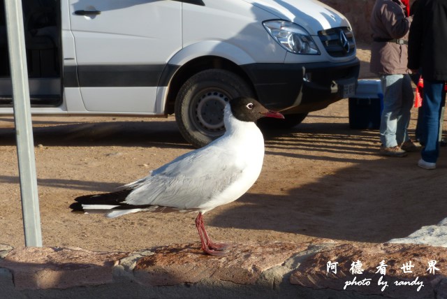 atacama2FZ (6).JPG atacama2FZ (6).JPG