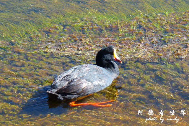 atacama2FZ (54).JPG atacama2FZ (54).JPG