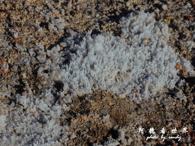 atacama2P77 136.JPG atacama2P77 136.JPG