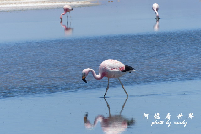 atacama3FZ (172).JPG atacama3FZ (172).JPG