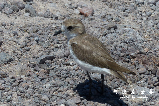 atacama3FZ (180).JPG