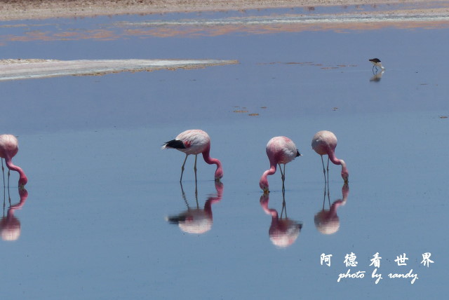 atacama3FZ (188).JPG atacama3FZ (188).JPG