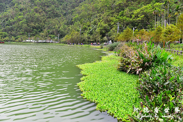 兔子迷宮-望龍埤D810 073.JPG 兔子迷宮-望龍埤D810 073.JPG
