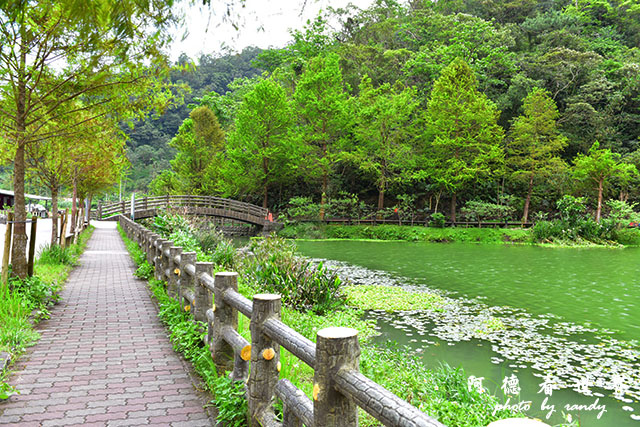 兔子迷宮-望龍埤D810 074.JPG 兔子迷宮-望龍埤D810 074.JPG