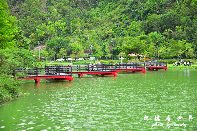 兔子迷宮-望龍埤D810 079.JPG 兔子迷宮-望龍埤D810 079.JPG