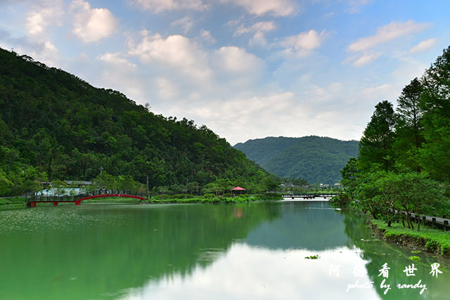 兔子迷宮-望龍埤D810 126.JPG 兔子迷宮-望龍埤D810 126.JPG