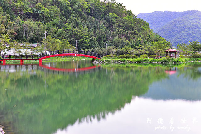 兔子迷宮-望龍埤D810 141.JPG 兔子迷宮-望龍埤D810 141.JPG