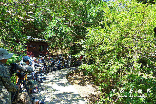 2015-10-14 野柳FZ200 (9).JPG 2015-10-14 野柳FZ200 (9).JPG