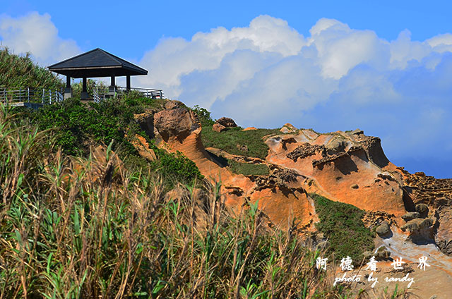 野柳D7000 018.JPG 野柳D7000 018.JPG