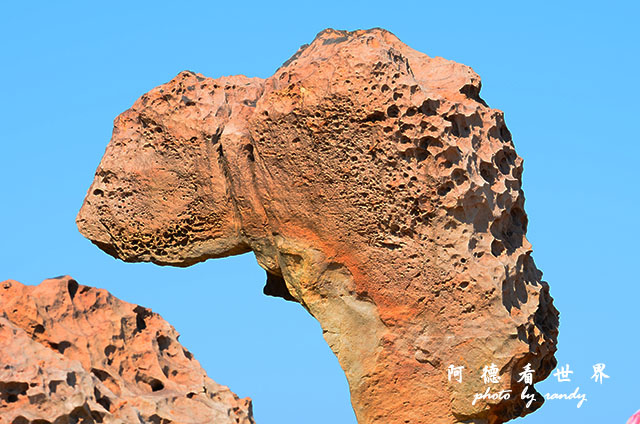 野柳D7000 020.JPG 野柳D7000 020.JPG