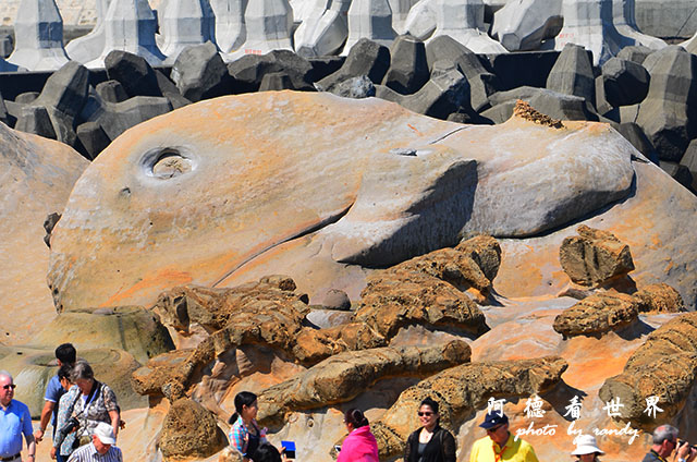 野柳D7000 037.JPG 野柳D7000 037.JPG