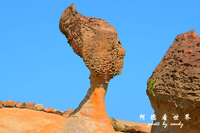 野柳D7000 055.JPG 野柳D7000 055.JPG