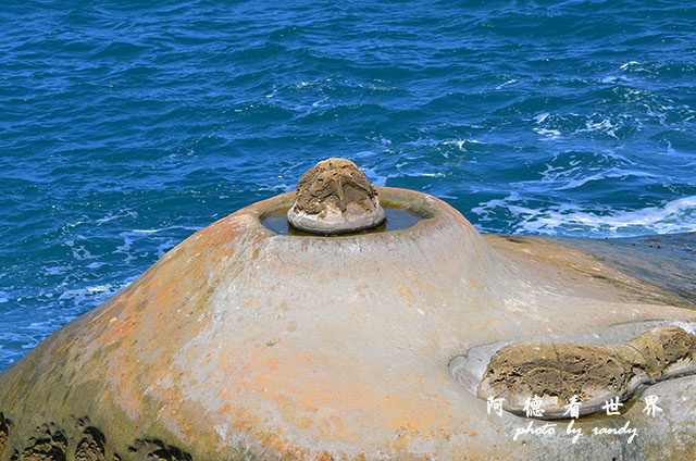 野柳D7000 060.JPG 野柳D7000 060.JPG