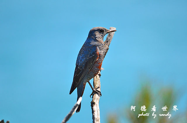 野柳D7000 070.JPG 野柳D7000 070.JPG