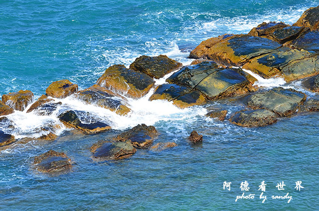 野柳D7000 065.JPG 野柳D7000 065.JPG