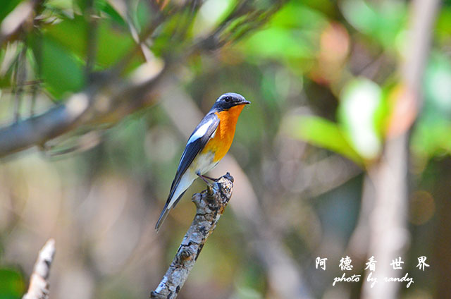 野柳D7000 122.JPG 野柳D7000 122.JPG