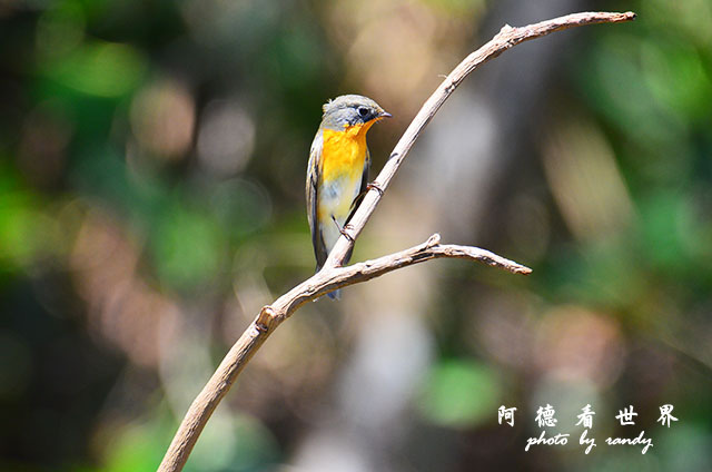 野柳D7000 126.JPG 野柳D7000 126.JPG