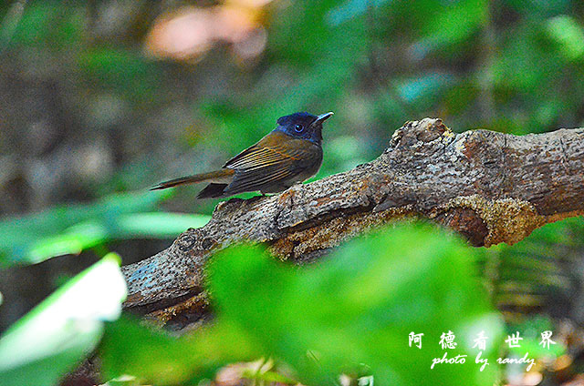 野柳D7000 172.JPG 野柳D7000 172.JPG