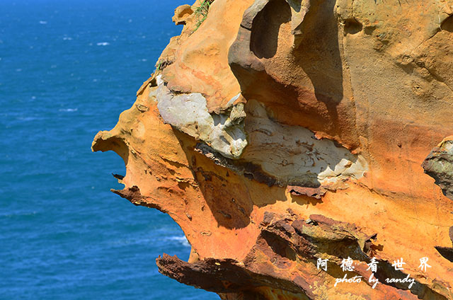 野柳D7000 230.JPG 野柳D7000 230.JPG