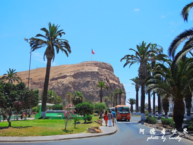 arica2P77 103.JPG arica2P77 103.JPG