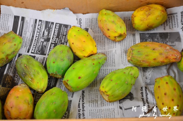 arica2D7 035.JPG arica2D7 035.JPG