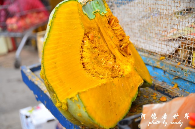 arica2D7 039.JPG arica2D7 039.JPG