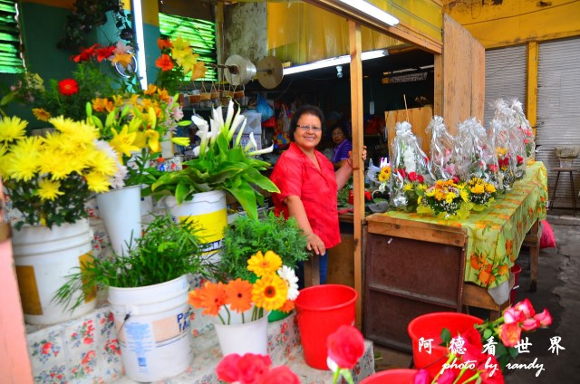 arica2D7 065.JPG arica2D7 065.JPG