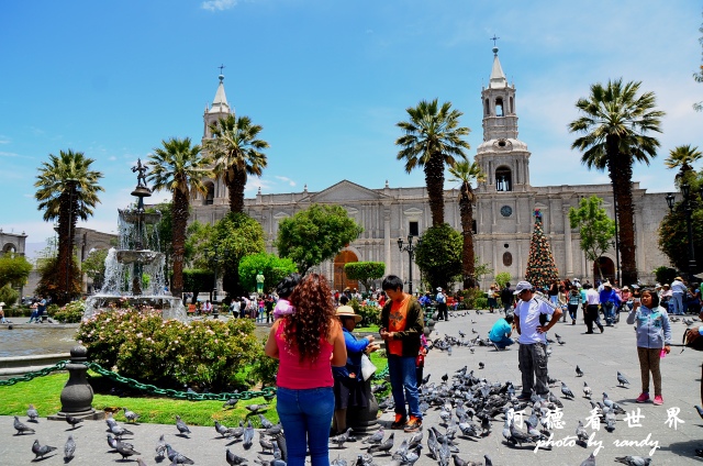 arequipa2D7 107.JPG arequipa2D7 107.JPG