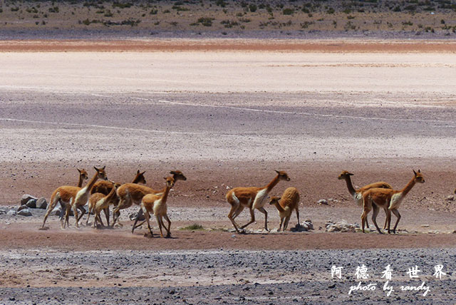 colcaFZ (11).JPG colcaFZ (11).JPG