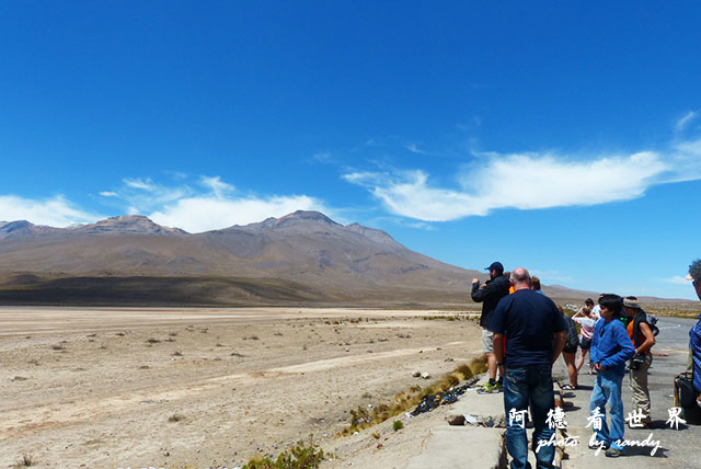 colcaFZ (19).JPG colcaFZ (19).JPG