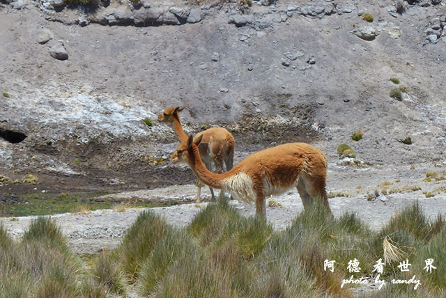 colcaFZ (48).JPG colcaFZ (48).JPG