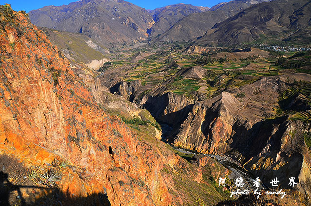 colcaD7 169.JPG colcaD7 169.JPG