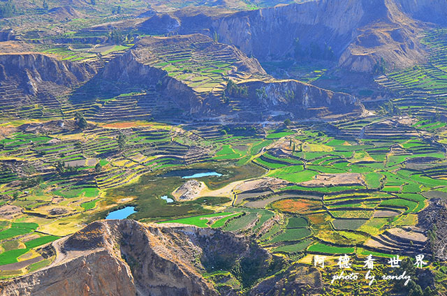 colcaD7 184.JPG colcaD7 184.JPG