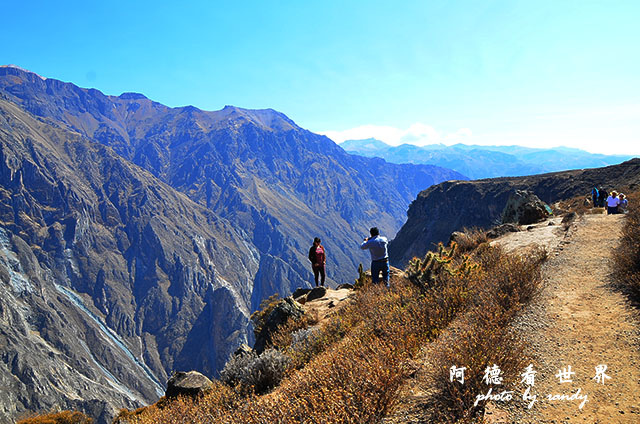 colcaD7 296.JPG colcaD7 296.JPG