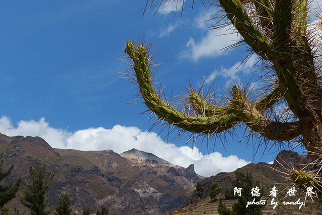 colcaFZ (235).JPG colcaFZ (235).JPG