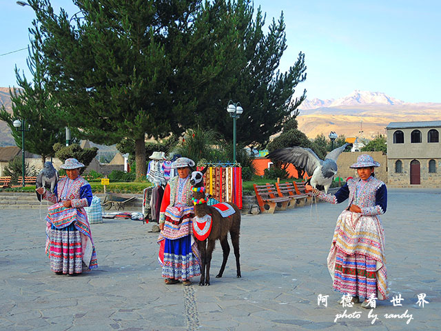 colcaP77 314.JPG colcaP77 314.JPG