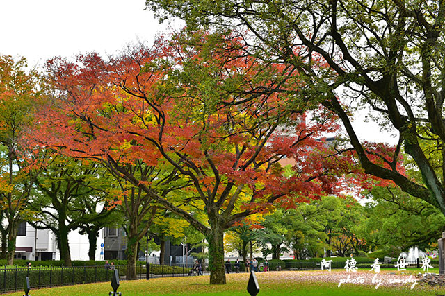 廣島平和公園D810 021.JPG