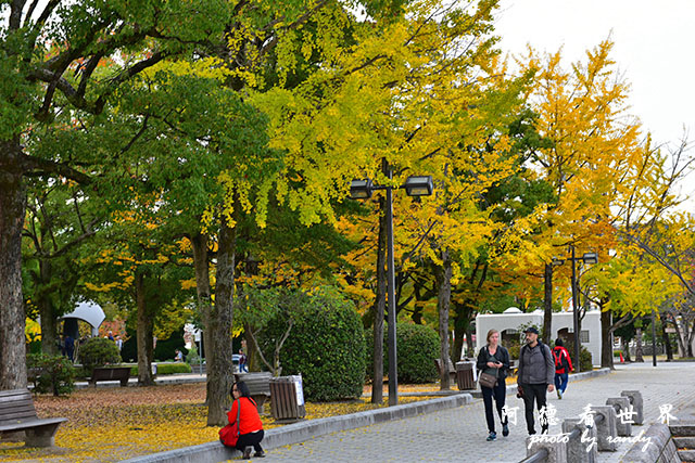 廣島平和公園D810 042.JPG 廣島平和公園D810 042.JPG