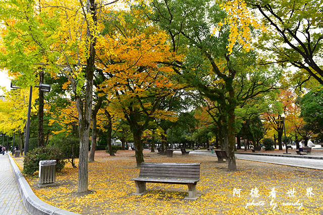 廣島平和公園D810 048.JPG