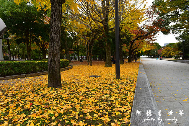 廣島平和公園D810 054.JPG