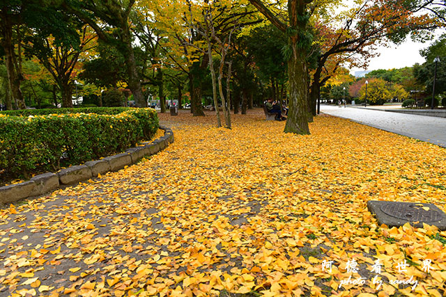 廣島平和公園D810 058.JPG