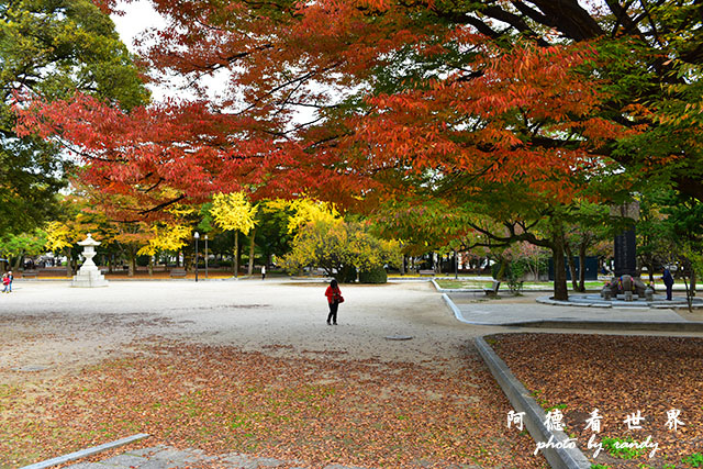 廣島平和公園D810 061.JPG