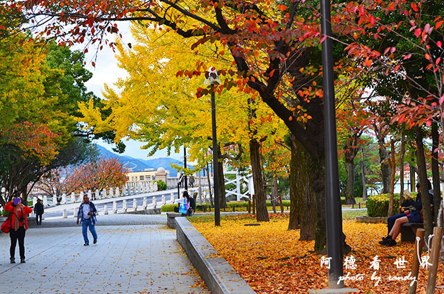 廣島平和公園D7000 001.JPG 廣島平和公園D7000 001.JPG