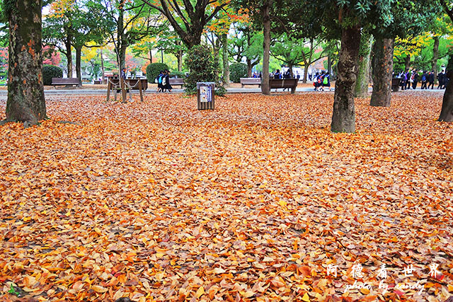 廣島平和公園P7700 074.JPG 廣島平和公園P7700 074.JPG